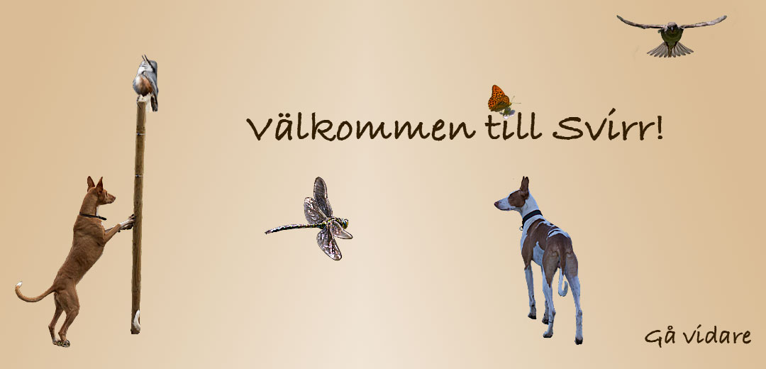 Välkommen